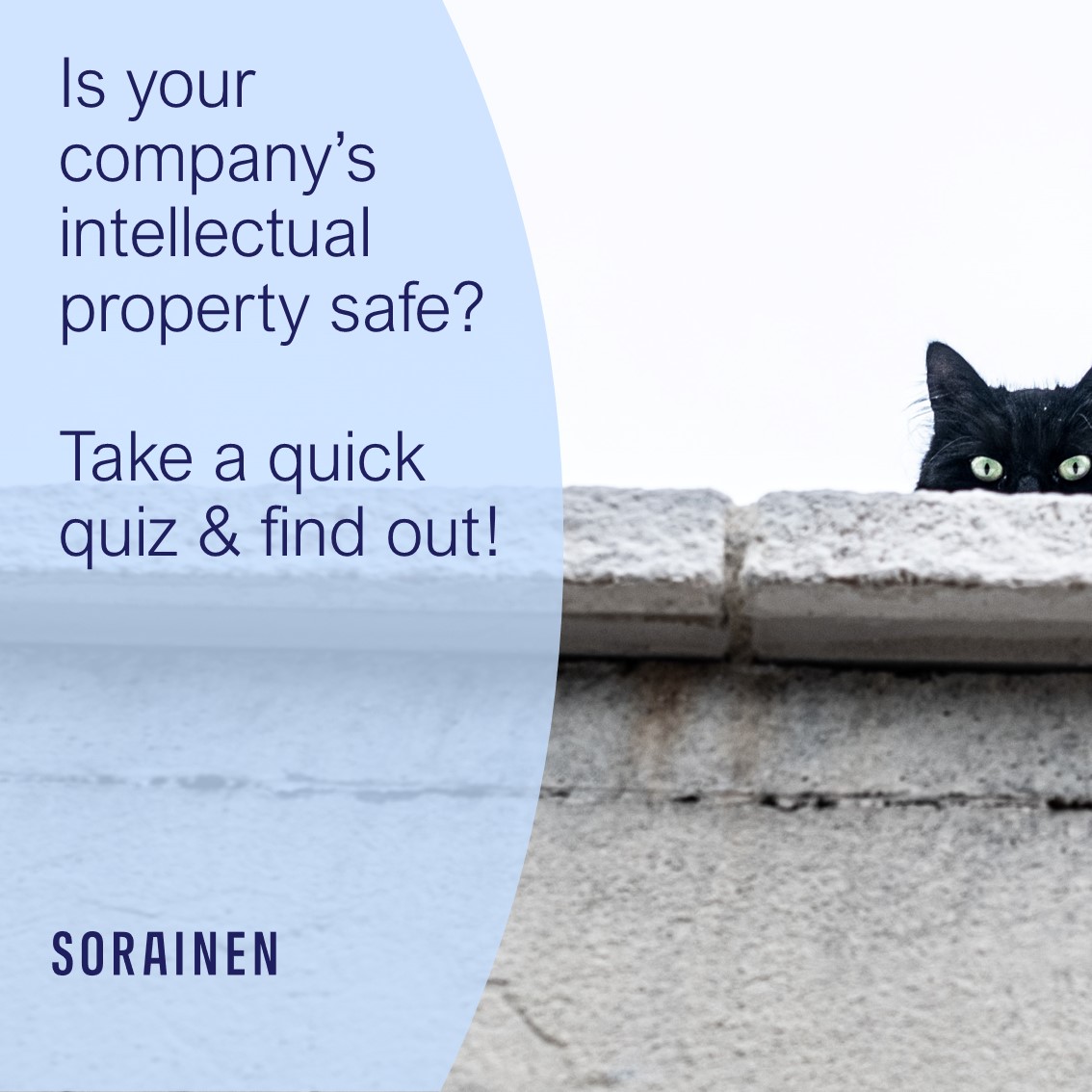 IP quiz