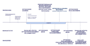 Joonis. Optsioonide maksustamise ajatelg